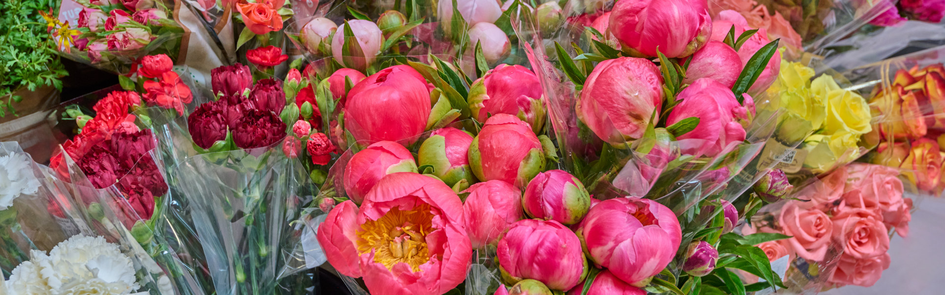 Blumen Blumen