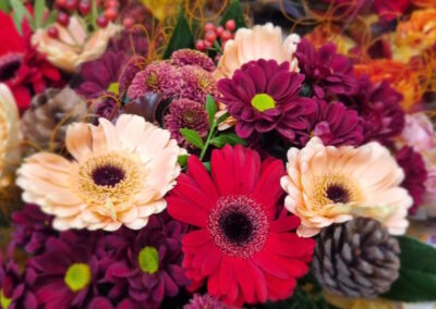 Blumen vom Holländer